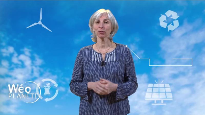 Romain Dufossé, président de YVI SAS, interviewé sur le plateau de Wéo Planète.